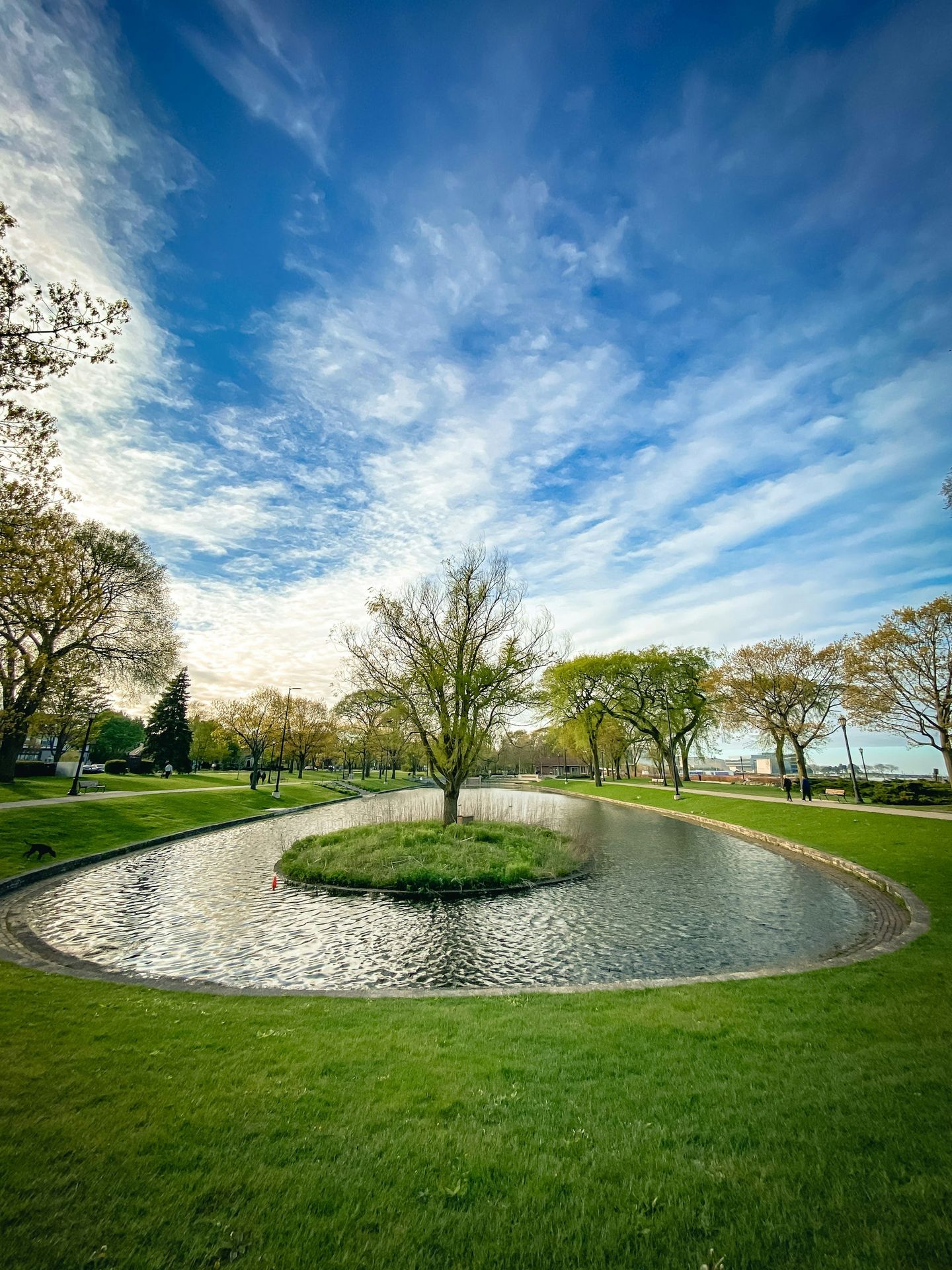 green grass field with trees under blue sky and white clouds during daytime